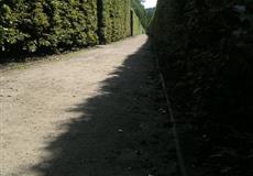 Voda 2007 Vltava