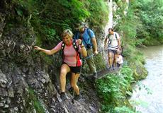 Dovča Slovenský ráj 2008
