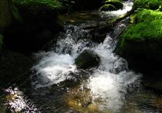 Dovča Slovenský ráj 2008