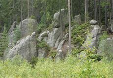 Dovča 2009 Adršpašsko