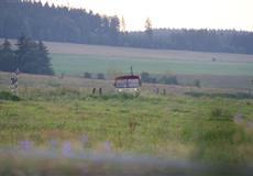 Dovča 2009 Adršpašsko