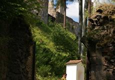 Dovča 2009 Adršpašsko