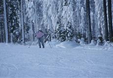 Chalupy 2010
