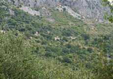 Chorvatsko - dovča 2010