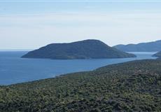 Chorvatsko - dovča 2010