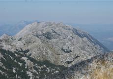 Chorvatsko - dovča 2010