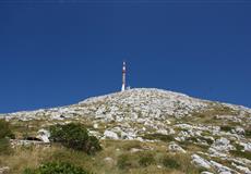 Chorvatsko - dovča 2010