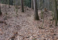 Silvestr 2012 - Český ráj