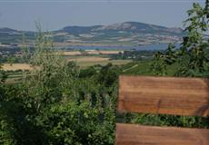 Dovolená 2013 - Morava - Zaječí