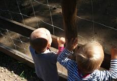 zoo Plzeň (září)