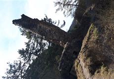Jarní výlety 2018