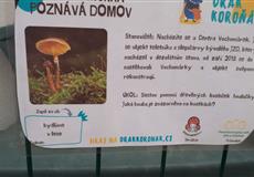 Květen 2021
