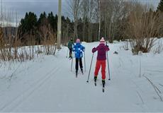 JARŇÁKY 2022 Šumava