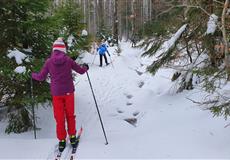 JARŇÁKY 2022 Šumava