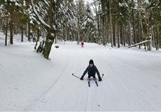 JARŇÁKY 2022 Šumava