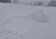 JARŇÁKY 2022 Šumava