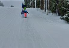 JARŇÁKY 2022 Šumava