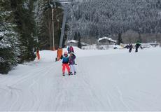 JARŇÁKY 2022 Šumava
