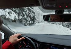 JARŇÁKY 2022 Šumava