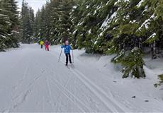 JARŇÁKY 2022 Šumava
