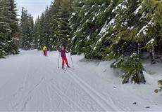 JARŇÁKY 2022 Šumava