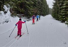 JARŇÁKY 2022 Šumava