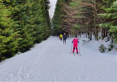 JARŇÁKY 2022 Šumava