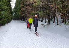JARŇÁKY 2022 Šumava