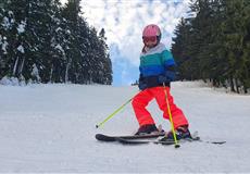 JARŇÁKY 2022 Šumava
