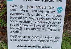 PRAHA - Plzeňský holky