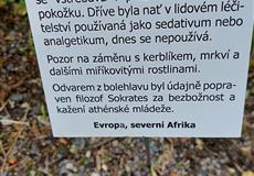 PRAHA - Plzeňský holky