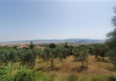 LIVORNO ITÁLIE  ČERVEN 2022