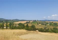 LIVORNO ITÁLIE  ČERVEN 2022