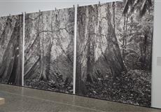Švýcarsko - CURYCH