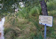 Dovolená s vinickejma - LIPNO 2022