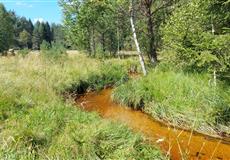 Dovolená s vinickejma - LIPNO 2022