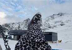 ALPY LEDOVEC_KAUNERTAL 2022