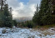 ALPY LEDOVEC_KAUNERTAL 2022